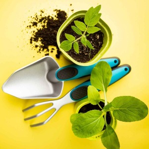 Urna tortor metus at risus pretium fringilla